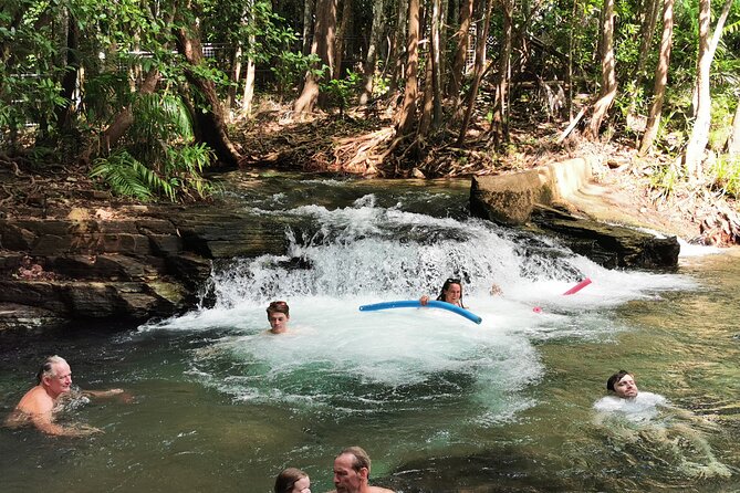 LookAbout Darwin Wetlands Wildlife Premium Tour Max 6 Guests - Fogg Dam: a slow road through Top End wetlands