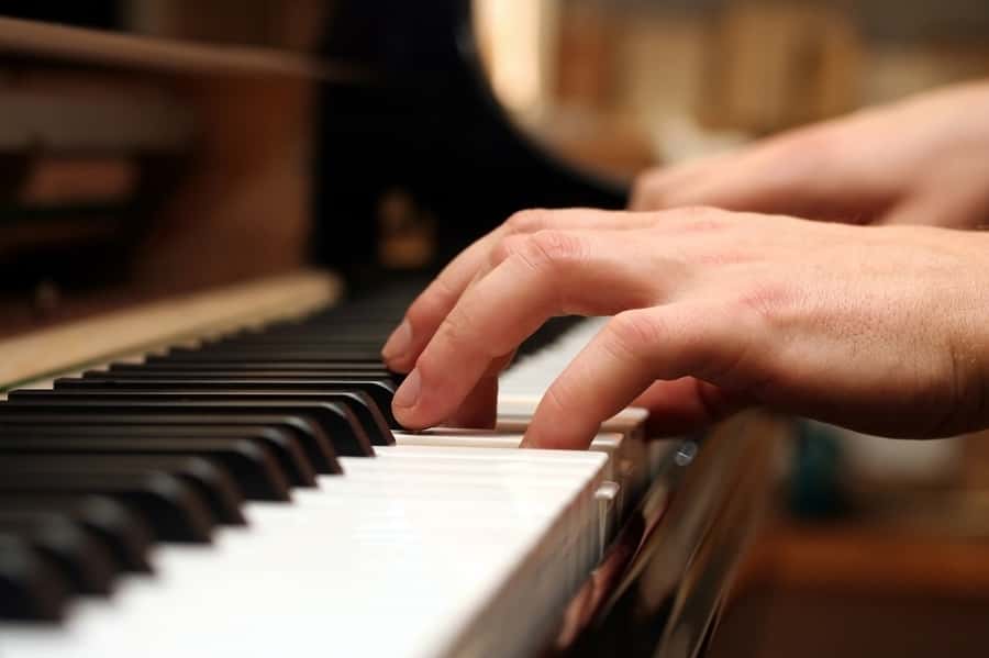 Lunch Cruise with Live Jazz on Sydney Harbour - Practical ways to make the cruise better