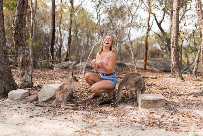 Luxury Hunter Valley Wildlife & Wine Tasting Tour from Sydney - The guide and the small-group feel