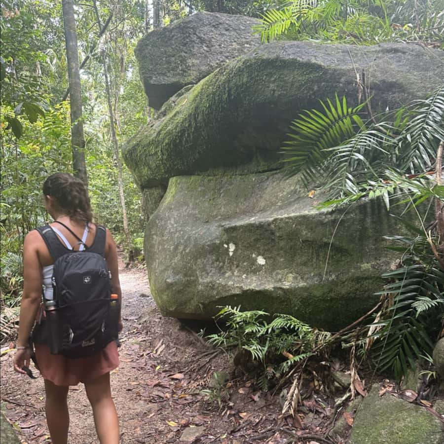 Mackay: Finch Hatton Gorge Hike, Swim & Platypus Adventure - Key points at a glance