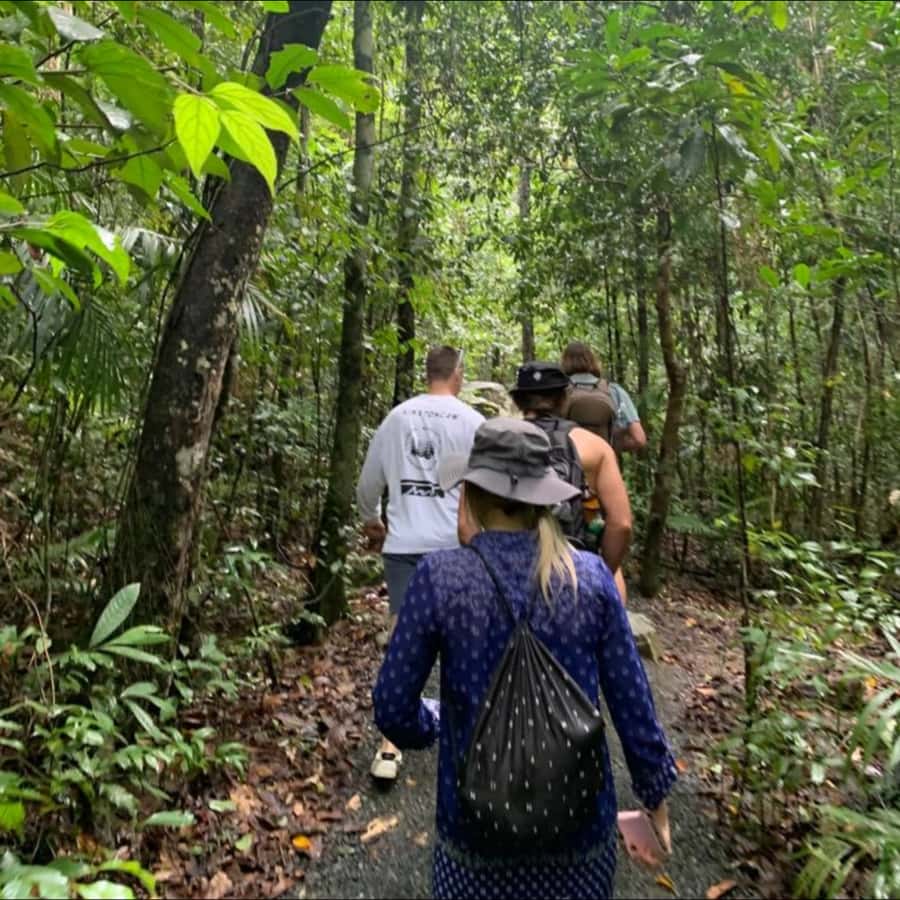 Mackay: Finch Hatton Gorge Hike, Swim & Platypus Adventure - Walking into Finch Hatton Gorge