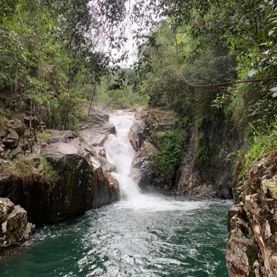 Mackay: Finch Hatton Gorge Hike, Swim & Platypus Adventure - The ride through the Pioneer Valley