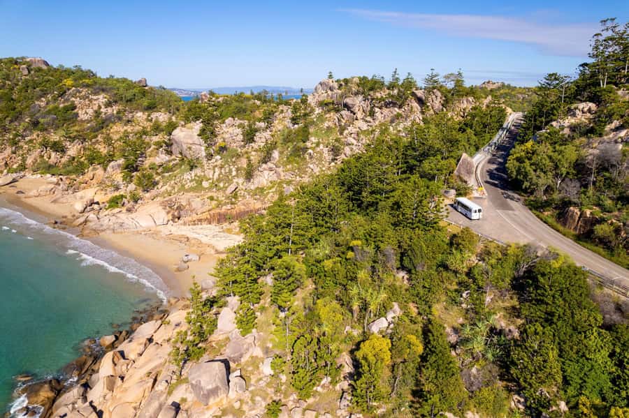 Magnetic Island: Behind the Scenes Tour - Geoffrey Bay is the wildlife high point for many people