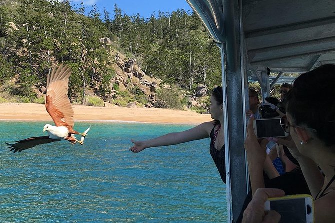 Magnetic Island Discovery Tour with Snorkeling & Paddle Boarding - Snorkelling the fringing reefs