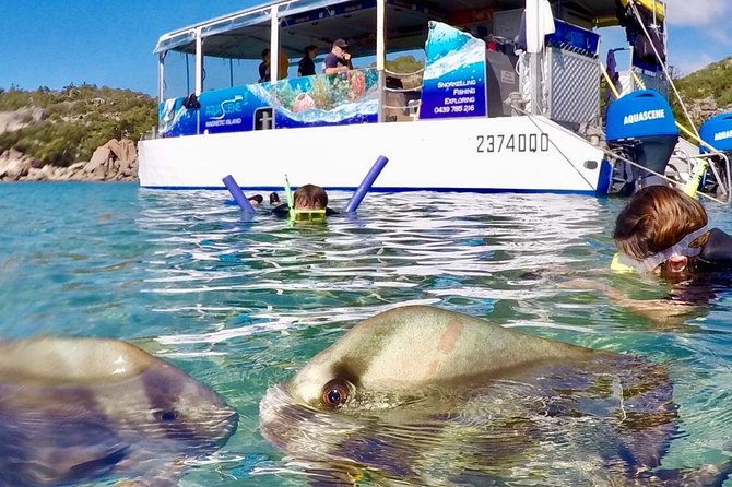 Magnetic Island Discovery Tour with Snorkeling & Paddle Boarding - Cruising to beaches you cannot reach by road