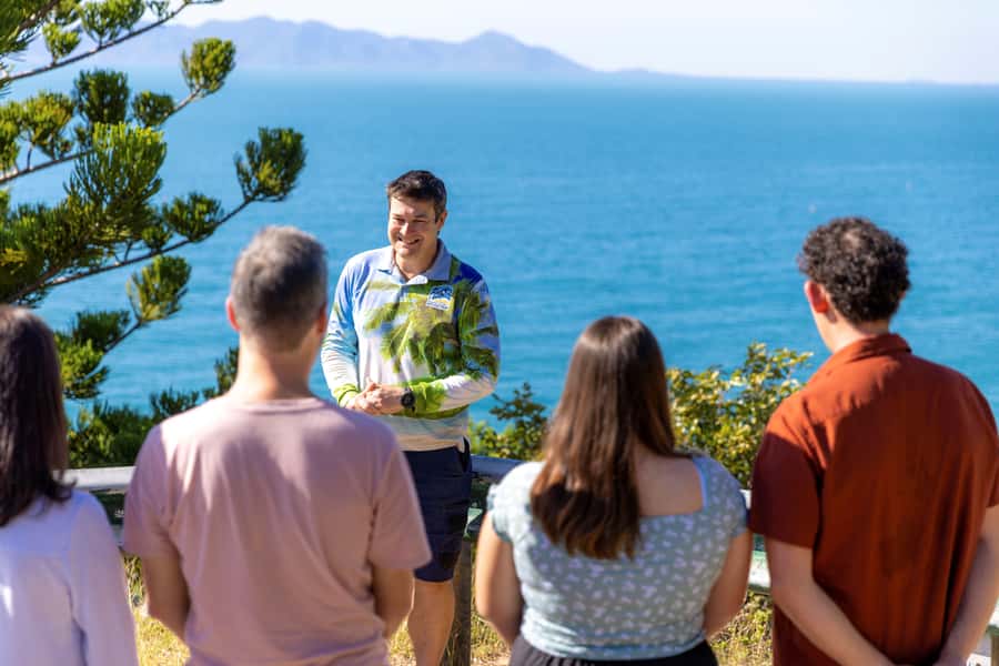 Magnetic Island: Guided Bus Tour with Morning Tea - Starting at Nelly Bay and getting oriented