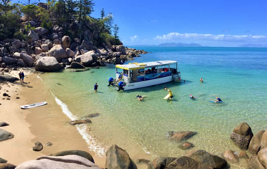 Magnetic Island: Snorkel Discovery Tour - Meeting at Nelly Bay Marina
