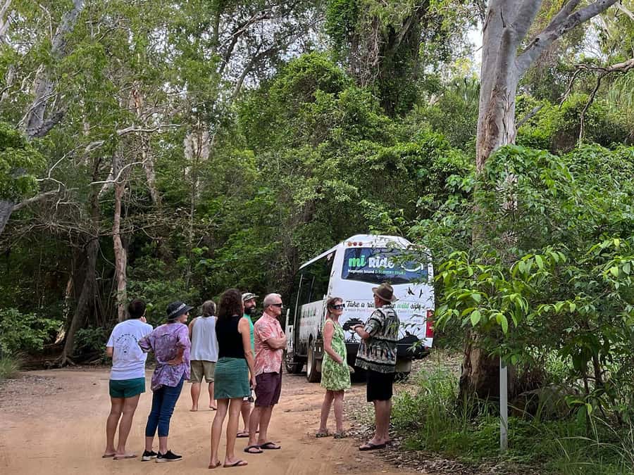 Magnetic Island: West Coast Eco Adventure Bus Tour - Key points to know before you book