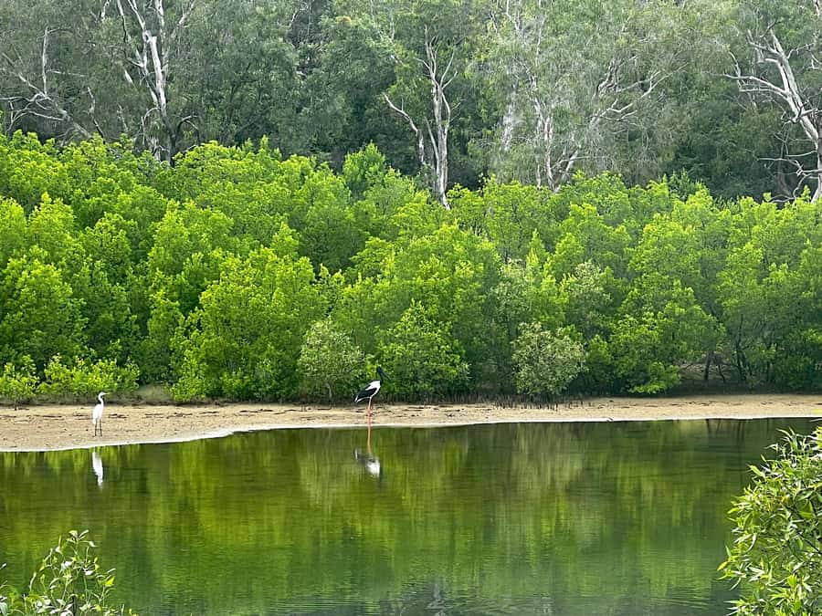 Magnetic Island: West Coast Eco Adventure Bus Tour - How much value do you get for $88?