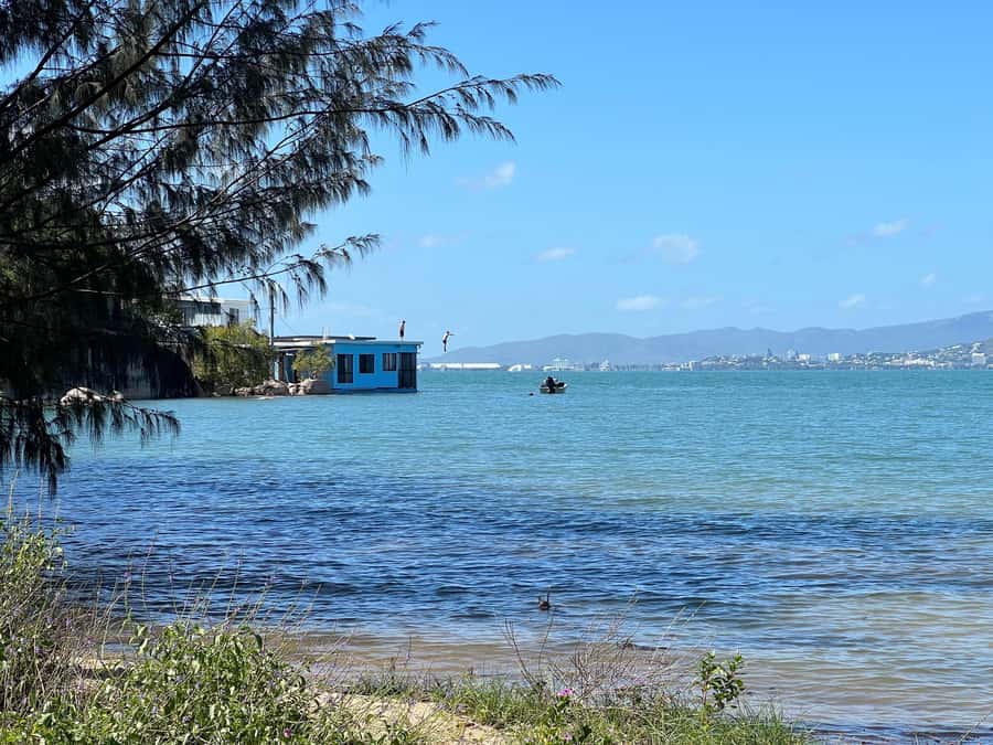 Magnetic Island: West Coast Eco Adventure Bus Tour - A quiet break for tea and local snacks