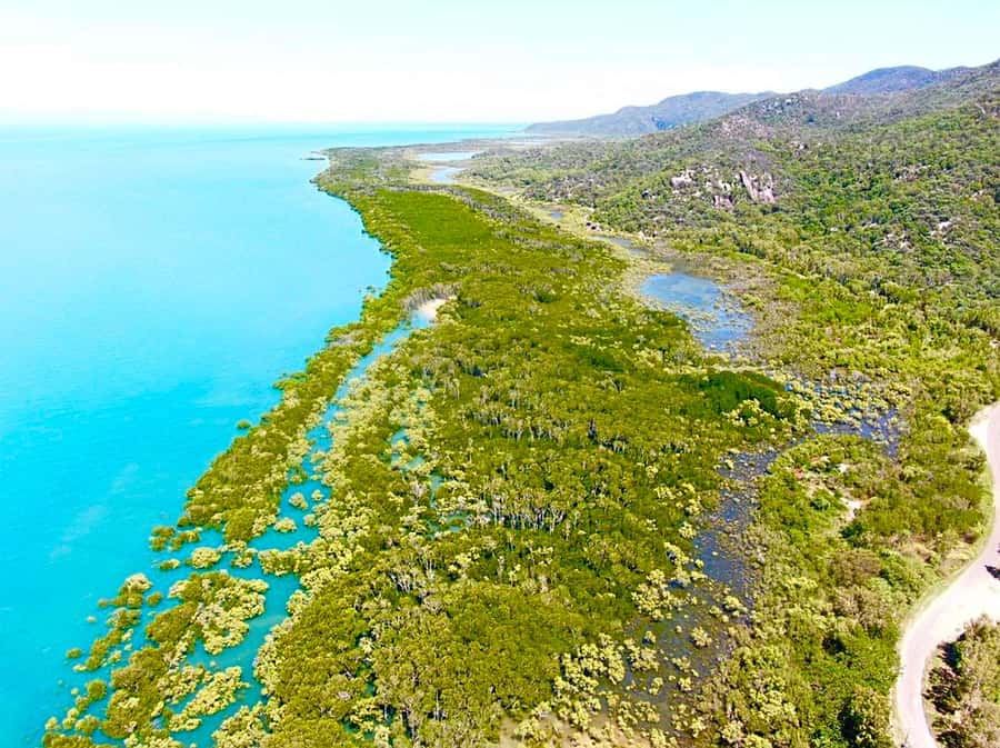 Magnetic Island: West Coast Eco Adventure Bus Tour - Meeting the bus at Nelly Bay