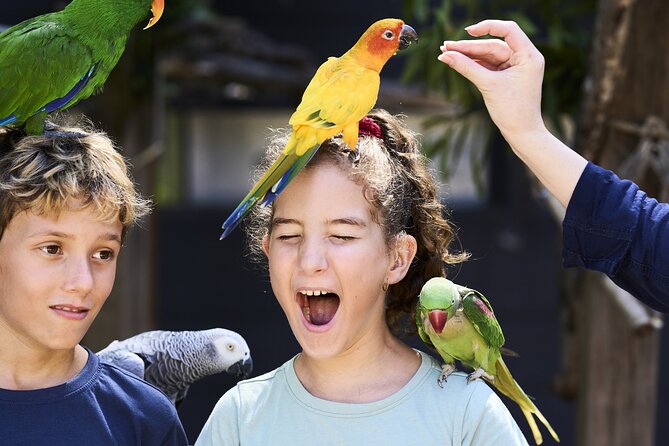 Maleny Botanic Gardens Bird Aviary Experience Ticket - Meeting more than 700 birds in the aviaries