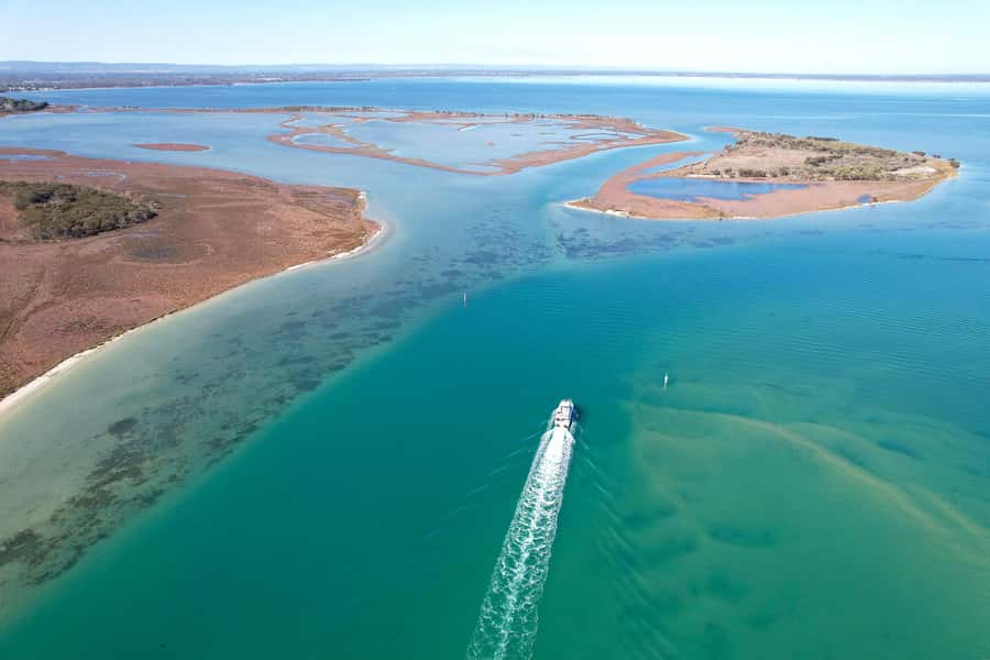 Mandurah: Dolphin & Giant Sightseeing Cruise - Five details that shape the experience
