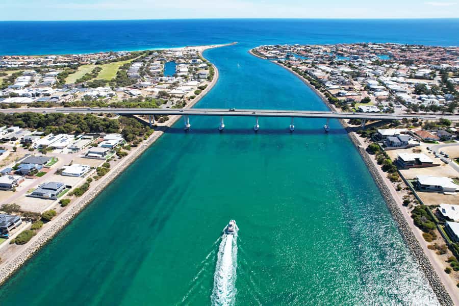 Mandurah: Dolphin & Giant Sightseeing Cruise - Meeting Seba’s Song from the water