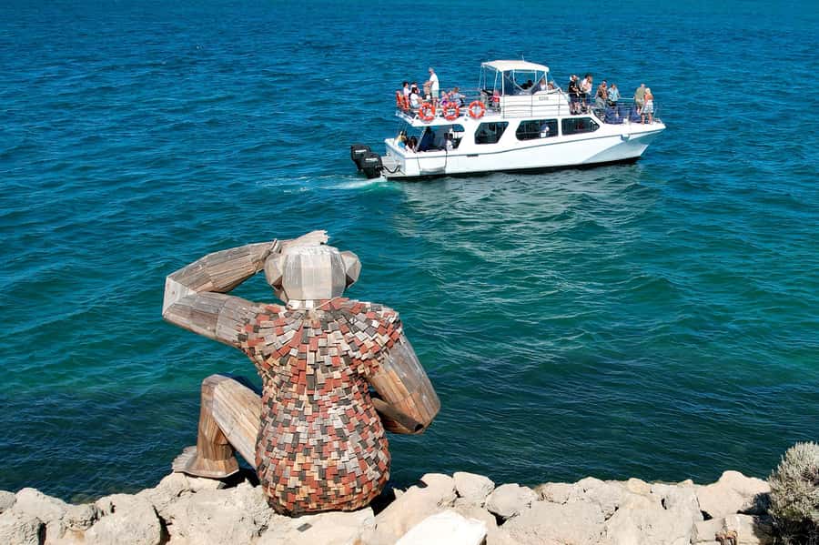 Mandurah: Dolphin & Giant Sightseeing Cruise - Weather, comfort, and access