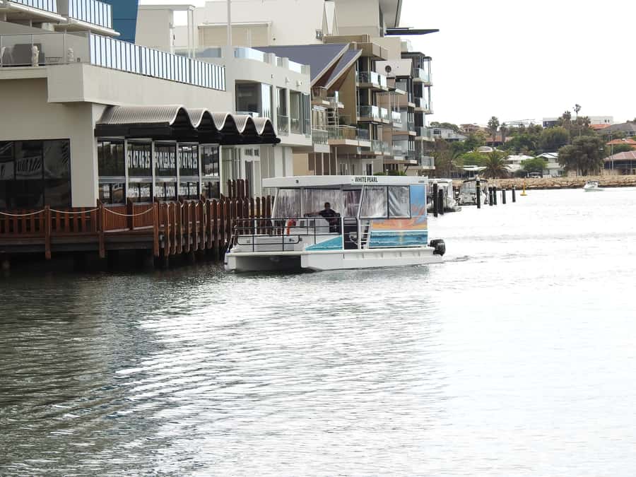 Mandurah: Sightseeing Dolphin Cruise with Tour Guide - What makes this one-hour cruise worth your time