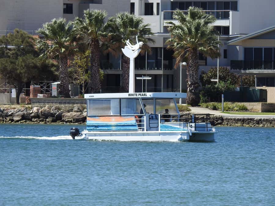 Mandurah: Sightseeing Dolphin Cruise with Tour Guide - Starting at Blue Manna and boarding the White Pearl