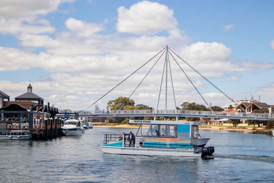 Mandurah: Sightseeing Dolphin Cruise with Tour Guide - Creery Wetlands and Boundary Island change the mood
