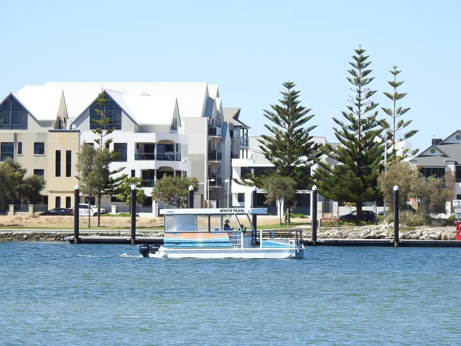 Mandurah: Sightseeing Dolphin Cruise with Tour Guide - Practical ways to enjoy the hour