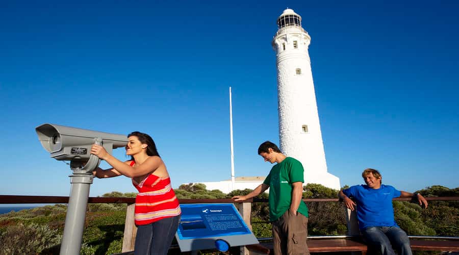 Margaret River and Busselton Jetty: Day Trip from Perth - Perth to Busselton: a long road south