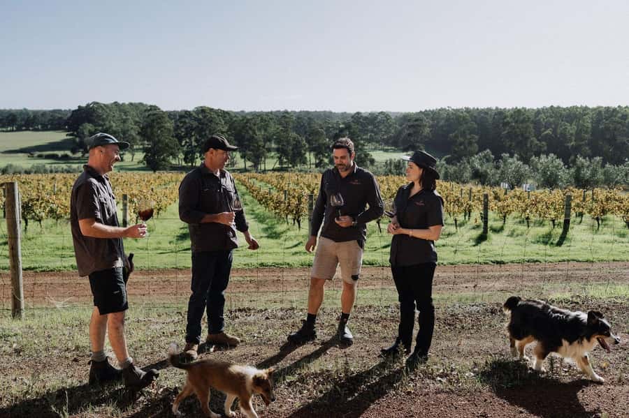 Margaret River: Full-Day Wine Tour - Nookery Cafe turns lunch into the main meal