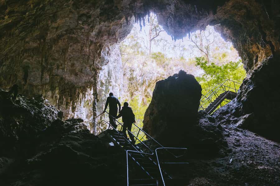 Margaret River: Self-Guided Audio Tour of Mammoth Cave - The boardwalk through Australian bushland
