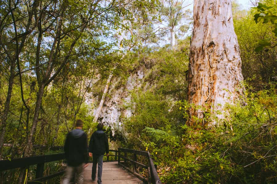 Margaret River: Self-Guided Audio Tour of Mammoth Cave - Why the self-guided format works