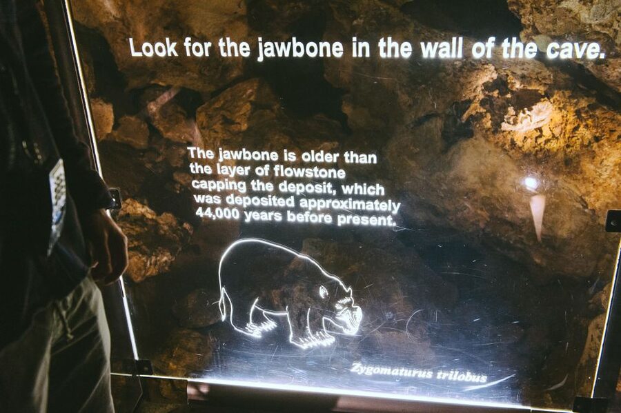 Margaret River: Self-Guided Audio Tour of Mammoth Cave - Accessibility and physical considerations