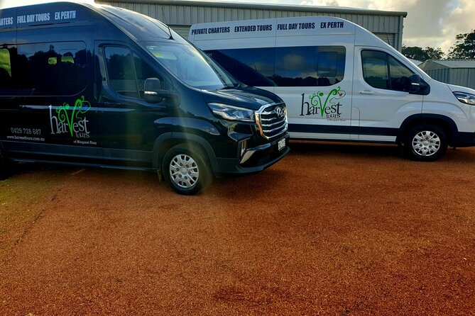 Margaret River Small-Group Full-Day Wine & Food Tour - Chocolate and olive oil make useful palate breaks