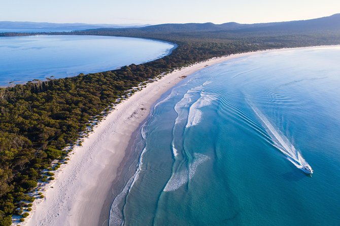 Maria Island Cruise and Guided Walk Day Tour with Lunch and Drinks - Starting at Brooke Street Pier in Hobart