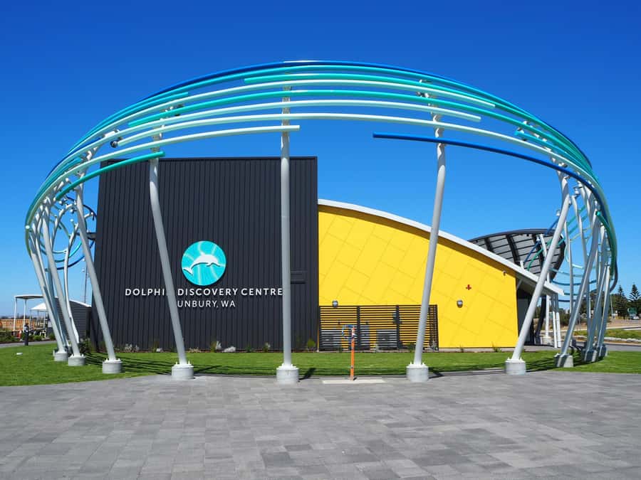 Marine Discovery Centre - Meeting dolphins without putting them in tanks