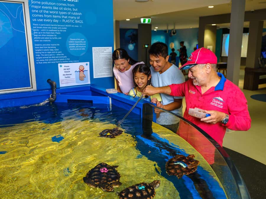 Marine Discovery Centre - How long to stay and how to plan the day