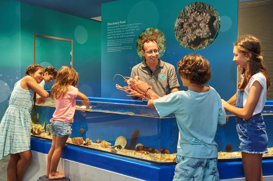 Marine Discovery Centre - Following Koombana Bay from river to reef