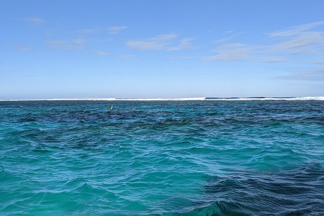 Marine Eco Safari - Swim with Manta Rays - The final snorkel keeps the afternoon worthwhile