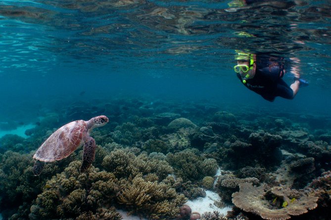 Marine Eco Safari - Swim with Manta Rays - Food, equipment, and staying warm