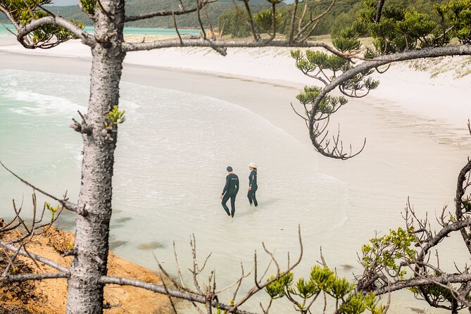Matador Whitsundays - Is $351 a fair price?
