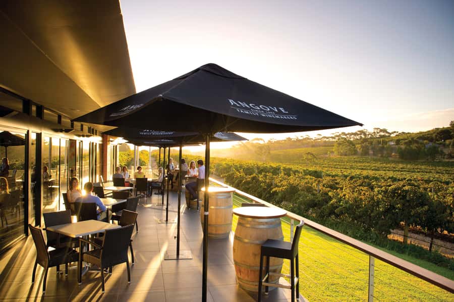 McLaren Vale North: Hop-On Hop-Off Tour - Key Things to Know Before You Book