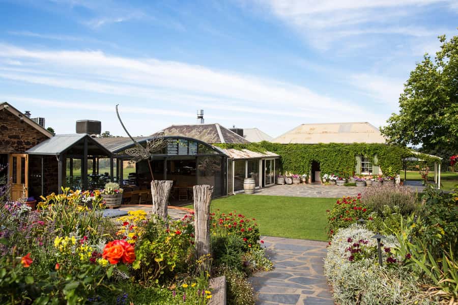 McLaren Vale North: Hop-On Hop-Off Tour - Who Will Enjoy This Tour Most