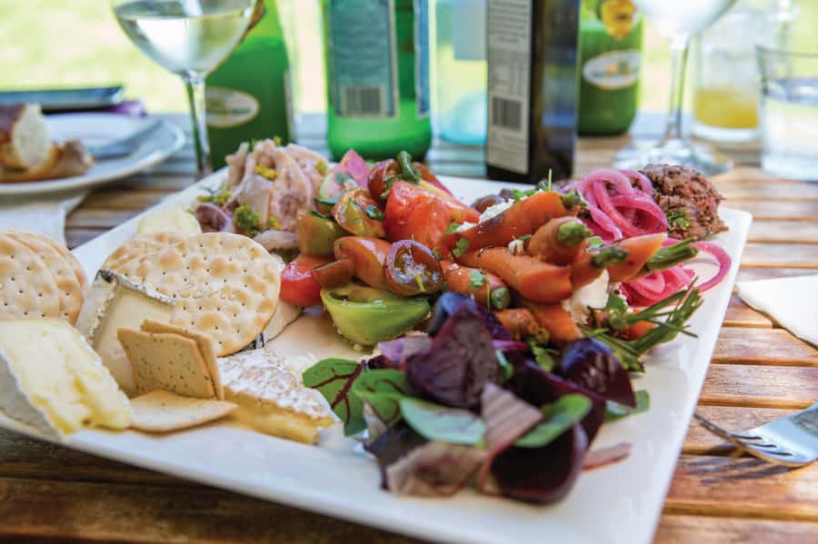 McLaren Vale North: Hop-On Hop-Off Tour - The Adelaide CBD to McLaren Vale North Run