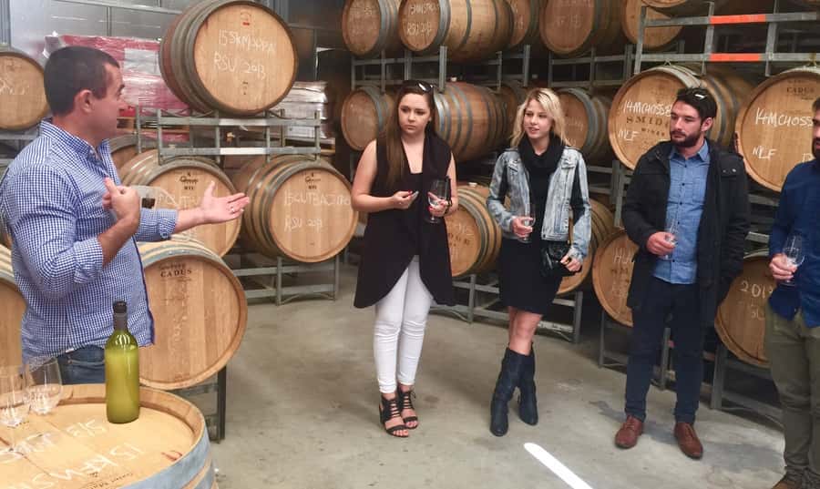 McLaren Vale: Small Group Wine Tour (Includes Lunch) - Key points before you book