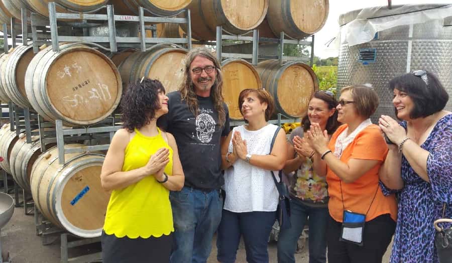 McLaren Vale: Small Group Wine Tour (Includes Lunch) - Lunch with a regional platter