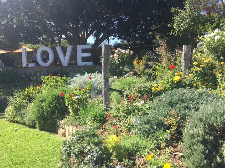 McLaren Vale: Small Group Wine Tour (Includes Lunch) - The d’Arenberg Cube is optional and costs extra