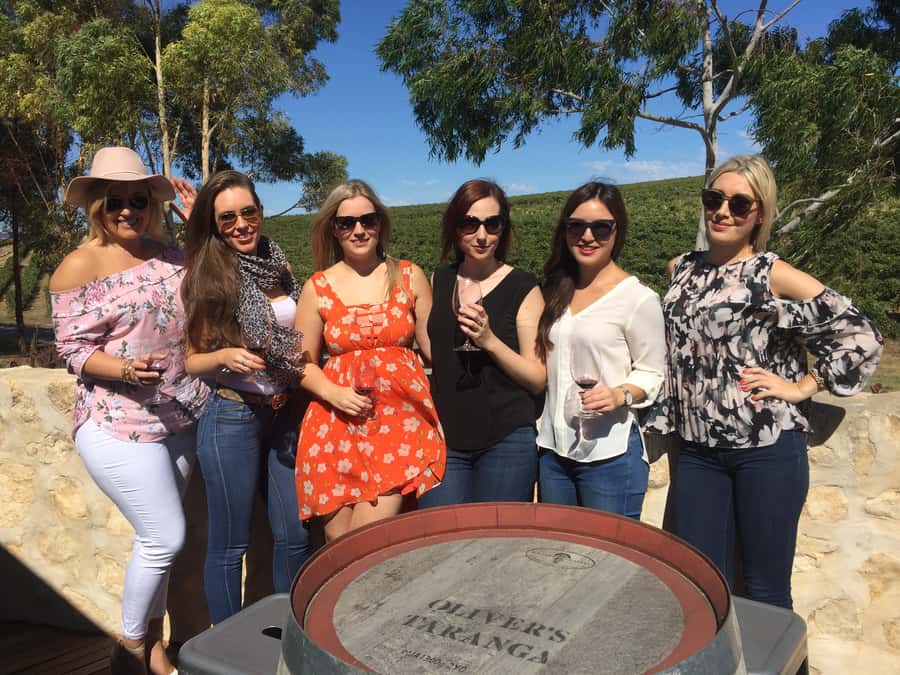 McLaren Vale: Small Group Wine Tour (Includes Lunch) - What the $138 price really buys you