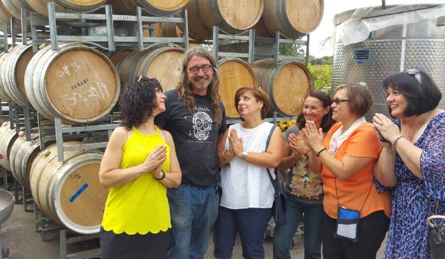 McLaren Vale: Small Group Wine Tour (Includes Lunch) - Who should book this experience?