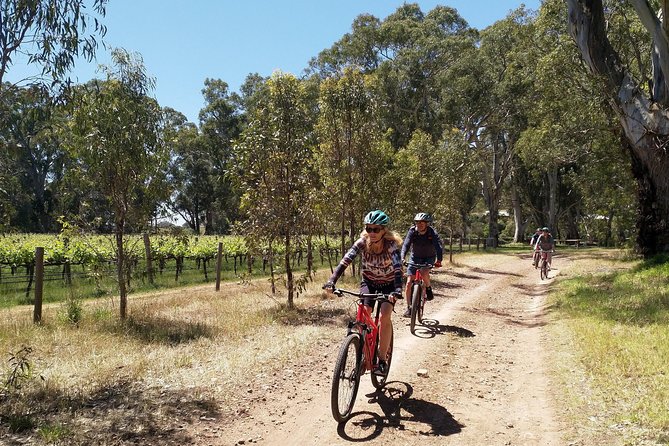 McLaren Vale Wine Tour by Bike - McLaren Vale vineyards and cellar doors