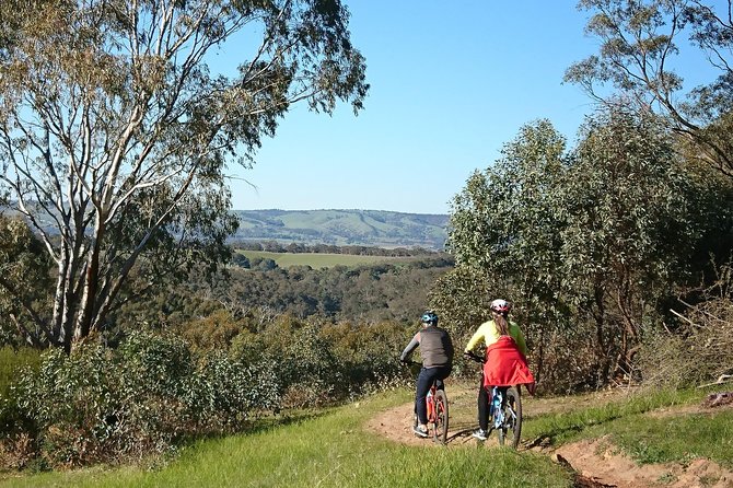McLaren Vale Wine Tour by Bike - A farm-style lunch between tastings