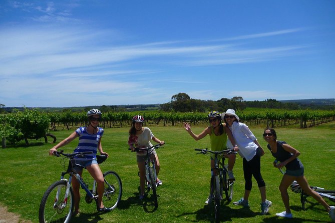 McLaren Vale Wine Tour by Bike - The guide and the small-group advantage