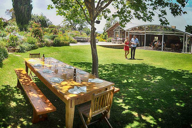 McLaren Vale Winery Small Group Tour with Wine Tasting and Lunch - Four reasons this McLaren Vale day trip works