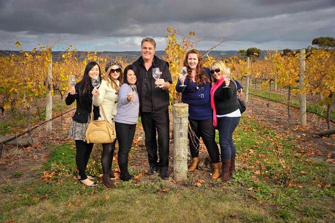 McLaren Vale Winery Small Group Tour with Wine Tasting and Lunch - Leaving Adelaide by way of the Fleurieu coast