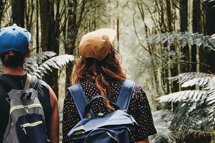 Melbourne: 12 Apostles, Otways & Great Ocean Road Day Tour - Through Great Otways National Park to a waterfall